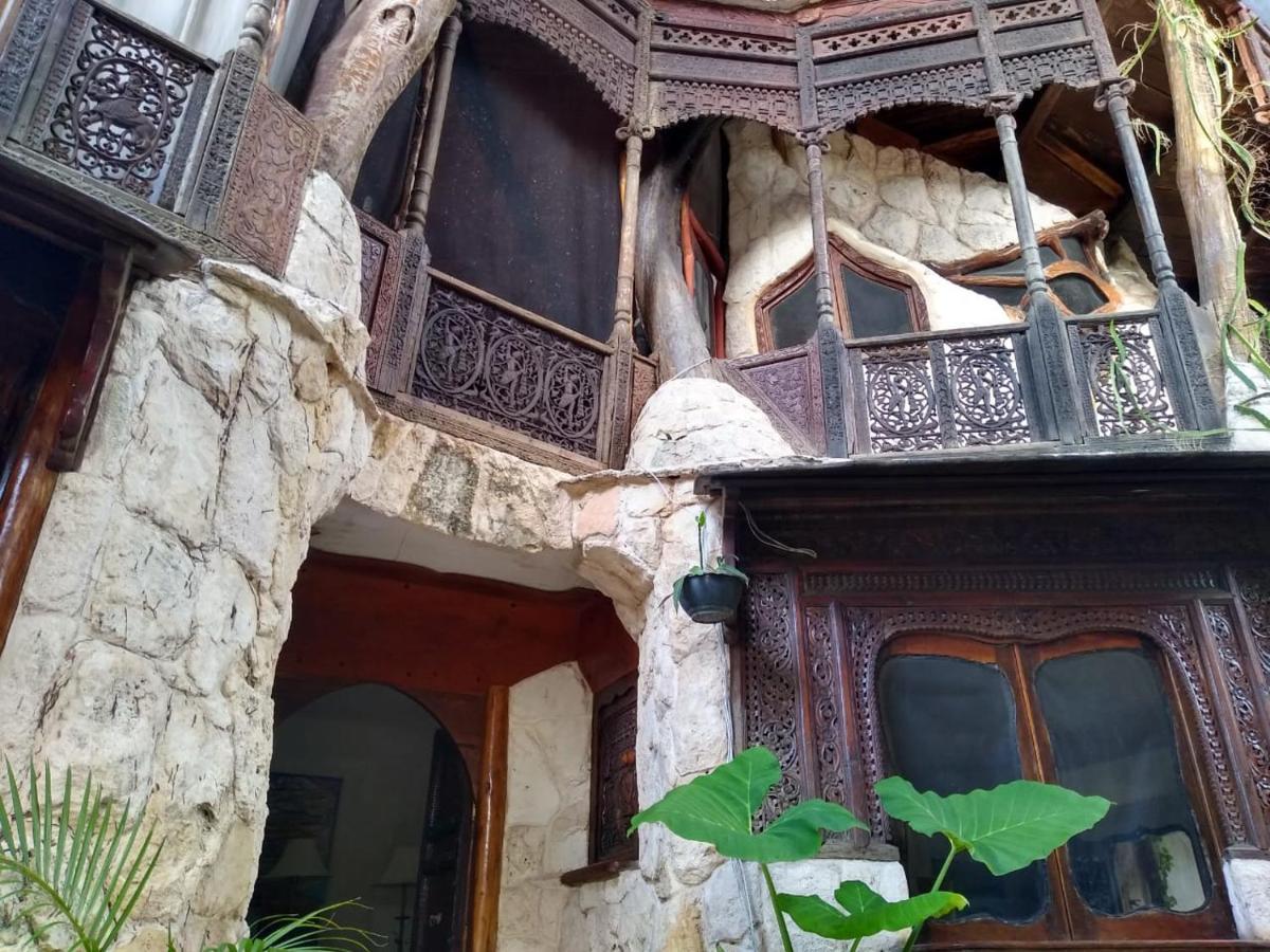 La Quinta Orquidea Puerto Morelos