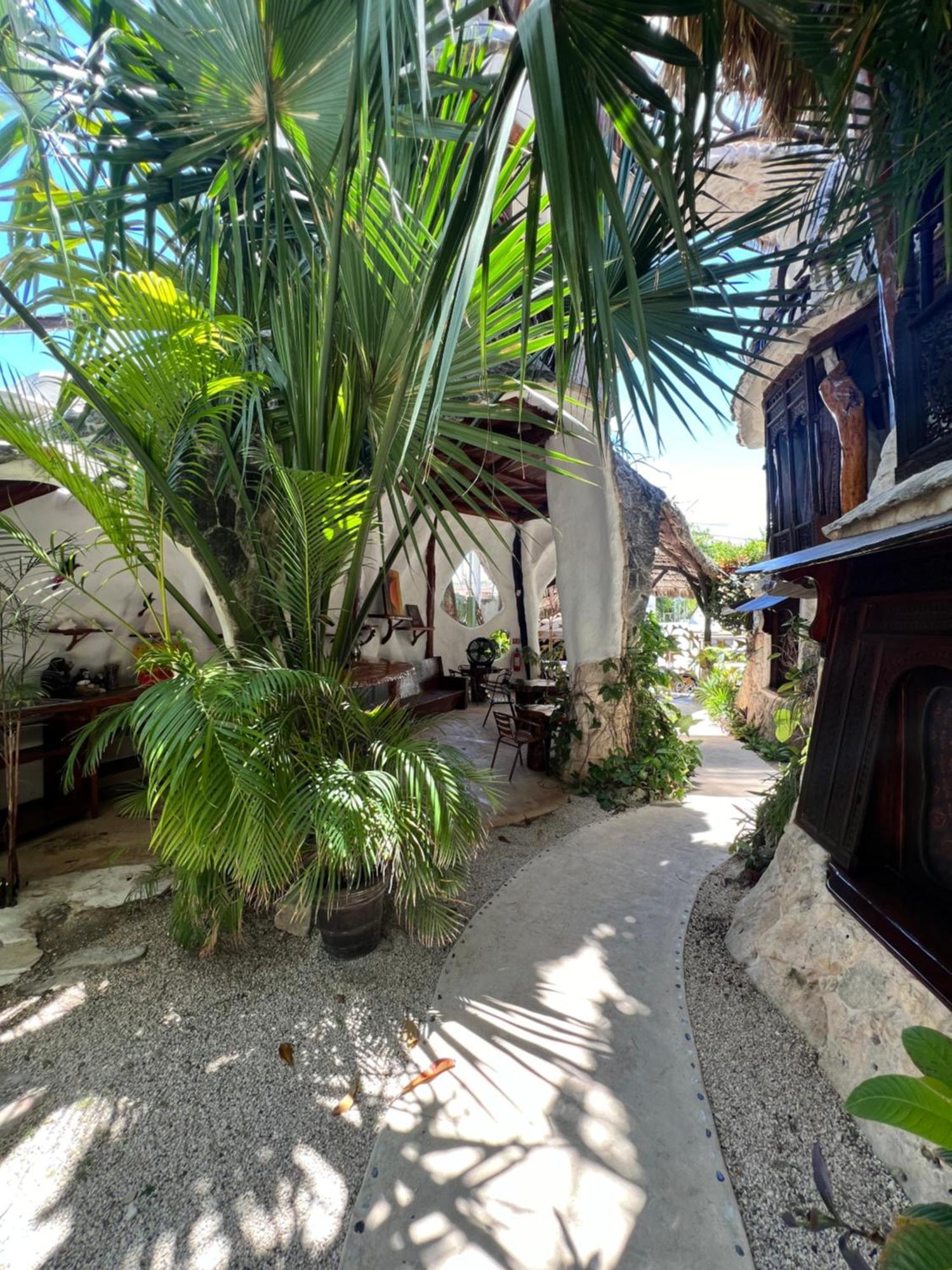 La Quinta Orquidea Couette-café 2*