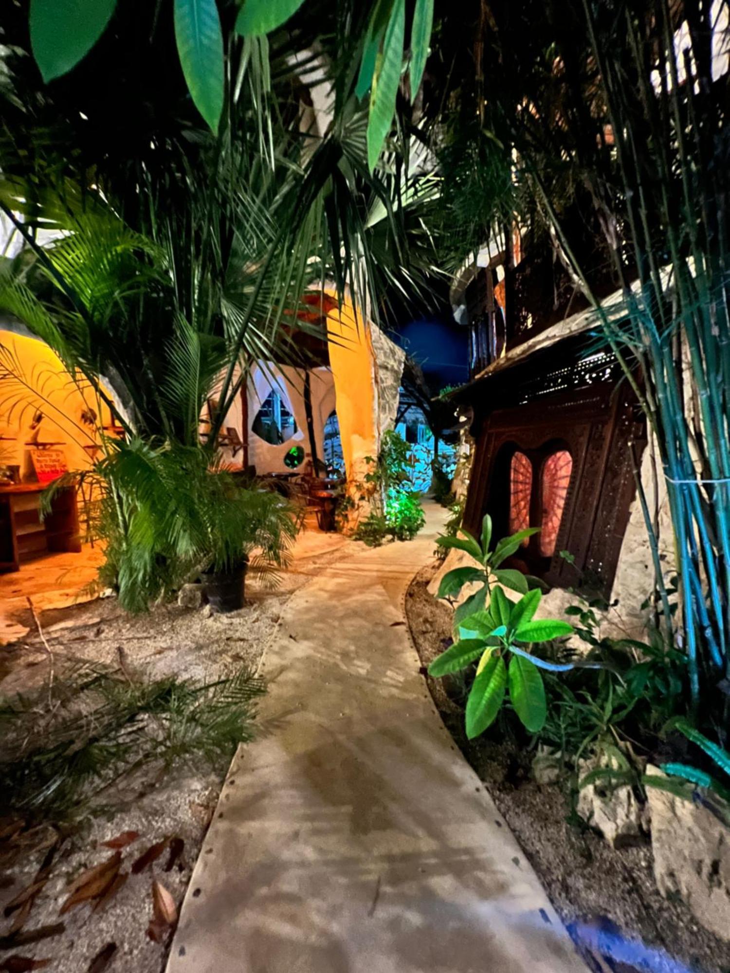 La Quinta Orquidea Puerto Morelos