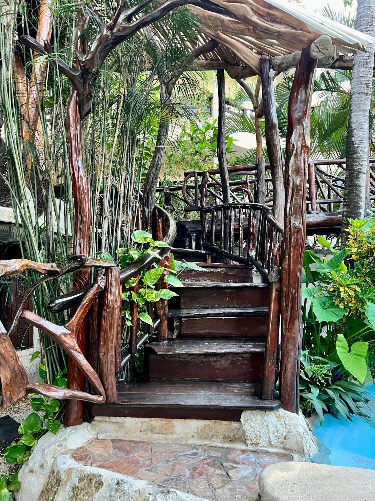 Couette-café La Quinta Orquidea Puerto Morelos