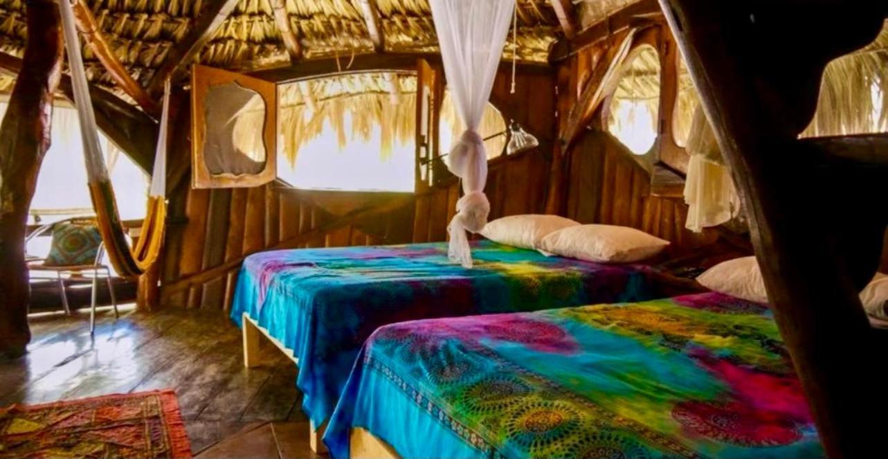 Couette-café La Quinta Orquidea Puerto Morelos